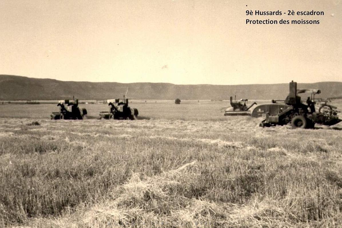 protection des moissons 2.jpg